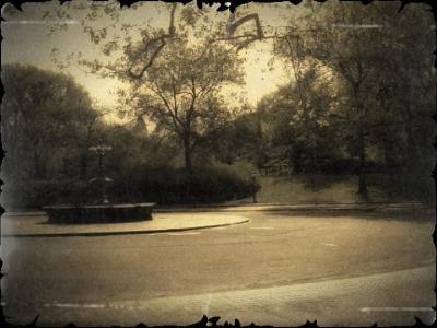 Beautiful Central Park