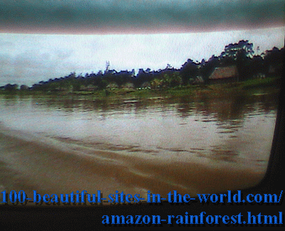 Amazon. the area where the flat river runs