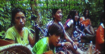 Amazonian Beautiful Images: Amazonian People During a Fishing Trip.