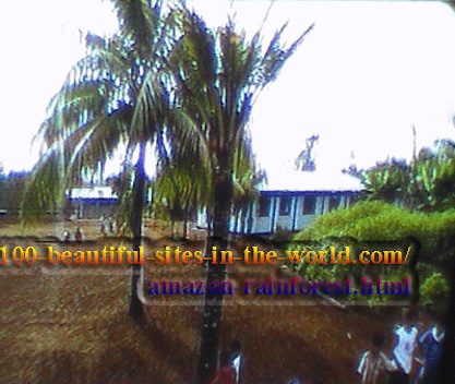 Amazonian Beautiful Images: Amazonian village inside the rainforest.