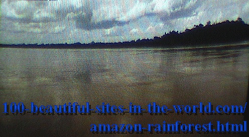 Beautiful Amazonian Pictures: Amazonian Rainforest at Evening.