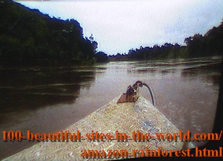 Beautiful Amazonian Pictures: Sailing in the Amazonian Rainforest at Evening.