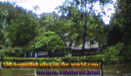Beautiful Amazonian Pictures: Amazonian Village in the Amazon Rainforest (Amazonia).