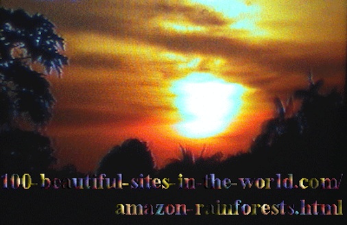 Beautiful Amazonian Scenes: The Beautiful Colors of the Amazonian Sunset.