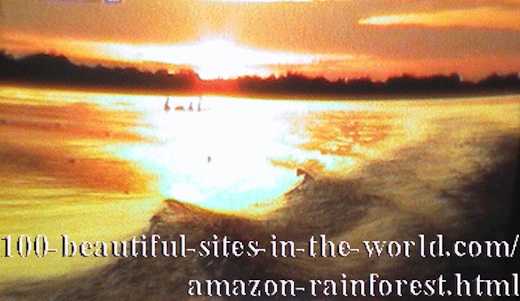 Beautiful Amazonian Scenes: Harmony of the Amazonian Nature Coloring the Horizon.