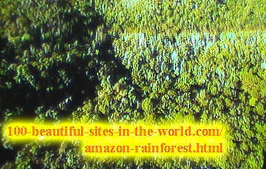 Beautiful Amazonian Scenes: In the Heart of the Amazon Rainforest.
