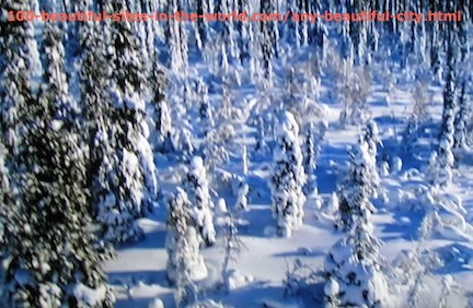 Beautiful Photos: The Snow Covering the Trees.