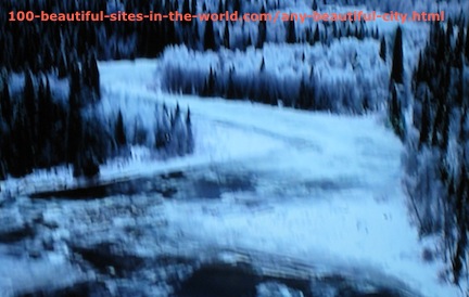 Beautiful Photos: Snowy Forest at Night.