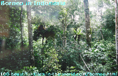 Borneo in Indonesia Borneo in Indonesia