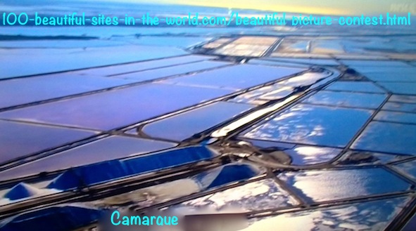 Camargue Beautiful Marshy Fields.