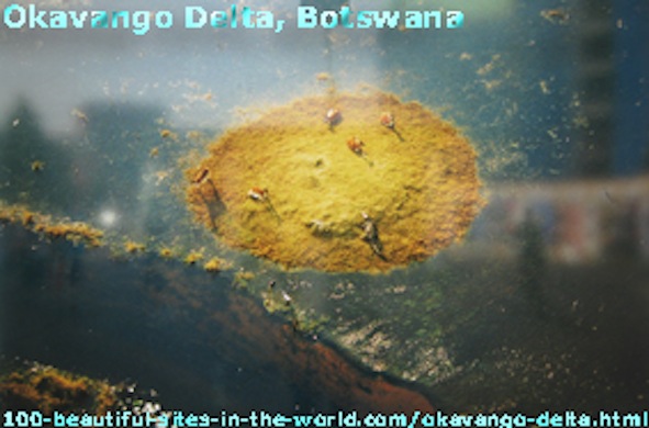 Okavango Delta in Botswana