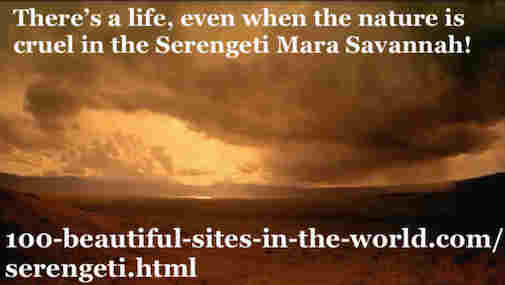 100-beautiful-sites-in-the-world.com/serengeti.html: Serengeti Mara Savannah: The skies and the bushes climaxing together. There’s a life, even when the nature is cruel in the Serengeti Mara Savannah!