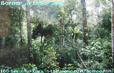 Borneo in Indonesia Borneo in Indonesia
