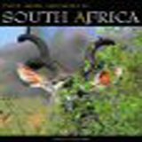 South Africa Safari Companion